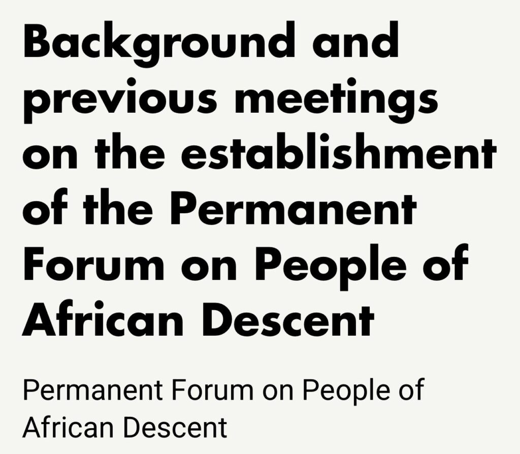 Background and previous meetings on the establishment of the Permanent Forum on People of African Descent